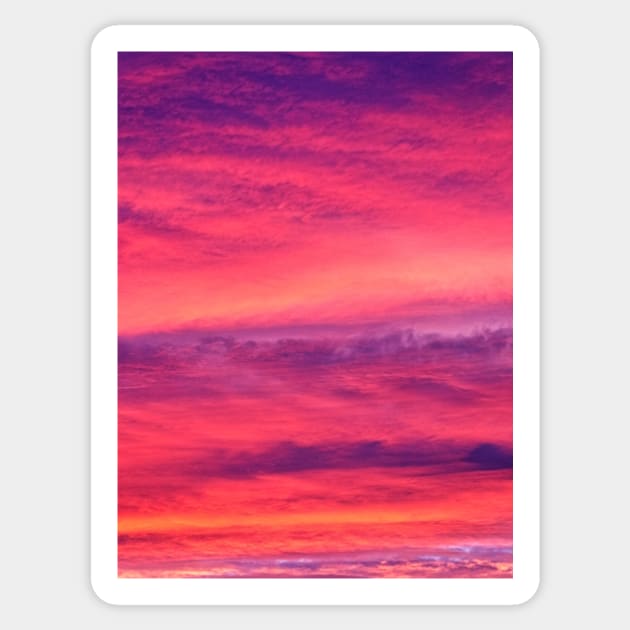 Pink & Purple Sunset Sticker by NewburyBoutique